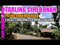 Download Lagu TARLING CIREBONAN 2024 COCOK DI PUTAR SAAT KERJA || TARLING VIRAL ENAK DIDENGAR LAGU PILIHAN