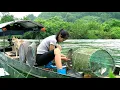 Download Lagu Amazed at the way the girl set a trap to catch fish in the fast-flowing water