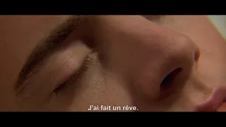 BLUE VELVET - Bande Annonce [VOST]