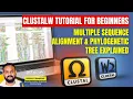 ClustalW Tutorial For Beginners Multiple Sequence Alignment Phylogenetic Tree Explained