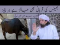 Download Lagu Bhains Ki Qurbani Bhi Jaiz Hai | Mufti Tariq Masood | Islamic Group Bayan