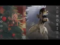 Download Lagu MEMORIES ✨//My Hero Academia Season  5~[AMV]~Maroon 5