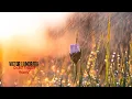Download Lagu Victor Lundberg - Small Fragile Hearts | Lyrics