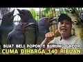 Download Lagu EMPAT EKOR 40 RIBU !! SRIGUNTING GACOR DOR HARGA 140 RIBUAN  DI PASAR BURUNG PRAMUKA 