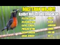 Download Lagu MASTERAN KOLIBRI NINJA FULL TEMBAKAN ISIAN LOMBA TERBUKTI AMPUH BIKIN KONIN JUARA