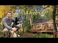 Am I Truly Free? Living Alone In A Forest Cabin With My Dog!