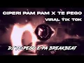 Download Lagu DJ TE PEGO E PA BREAKBEAT || CIPERI PAM PAM X TE PEGO || VIRALL TIKTOKK