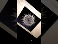 Vibrant Circle Python Turtle Programming