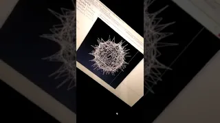 Vibrant Circle Python Turtle Programming