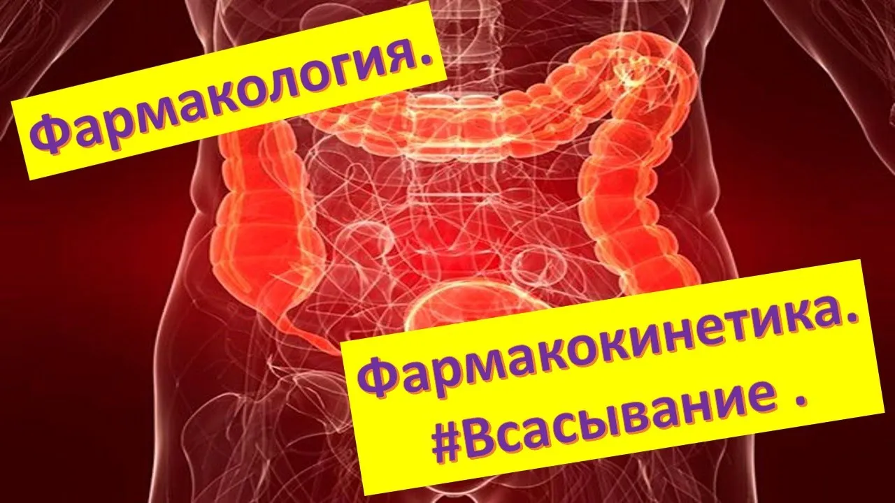 #2 Всасывание и трансмембранный транспорт лекарственных веществ. Рецепторно-опосредованный эндоцитоз