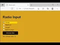 HTML CSS JavaScript Demo Radio Buttons -
