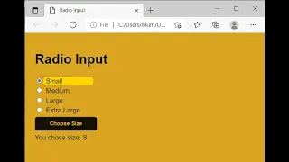 HTML CSS JavaScript Demo Radio Buttons -