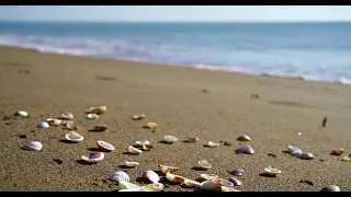 اللهم صل على محمد عدد الرمل والحصى 4 