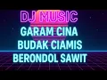 Download Lagu DJ Remix Viral 2025 - Garam Cina, Budak Ciamis, Berondol Sawit | Bass Empuk Full Beat