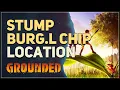 Stump BURG L Chip Location Grounded