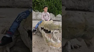 شفنا أكبر تمساح في بيت ماشا Shorts 