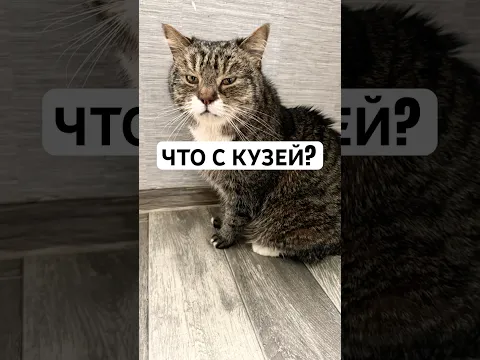 Что случилось с Кузей?
