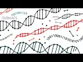 Evolutionary Algorithm GA explained with Maxone Problem