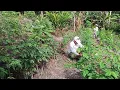 Download Lagu NGEMAS SAYUR CHANGKOK MANIS \u0026 BAJA NGAGAI JAGUNG.