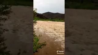الحمد لله حمدآ حمدا دندنها