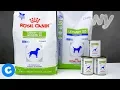 Royal Canin Prescription Urinary SO Dog Food