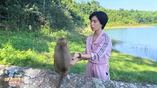 Mom took Diem and Quynh to visit Monkey Kaka again, the kids missed Monkey Kaka very much.