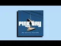 Download Lagu DJ PINK - TRY - (REMIX OSCAR DESANTOS)