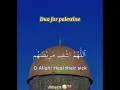 Download Lagu Please remember Palestine in your Duas. Ameen Ya Rabulalameen🕋🕋🕋