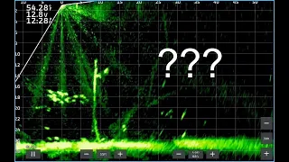 Livescope fishing tutorial Understanding the screen
