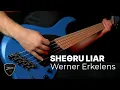Download Lagu SHEϴRU - Bass Playthrough w/ Werner Erkelens 🔥