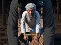 Download Lagu Kisah seorang pria yang menggali liang kubur untuk dirinya sendiri #dakwahislam #shortsvideo #shorts