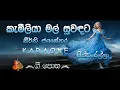 Download Lagu කැමීලියා මල් සුවඳට - Kameliya Mal Suwandata (Cinderella) | Karaoke Version | Kithsiri Jayasekara