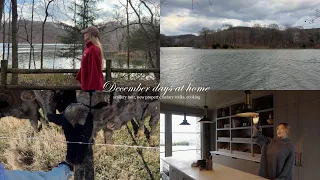 December days at home: scullery tour, new property, cooking, walks