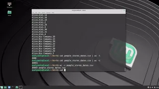 6 Basics of Linux Shell pipeline and pattern matching using grep