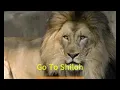 Go To Shiloh