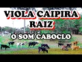 Download Lagu VIOLA CAIPIRA E O SOM DA ROÇA EM VERSOS NATUREZA E POESIA PARA O HOMEM DO CAMPO