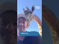 Download Lagu Playful Giraffe Tries to Steal Man's Hat