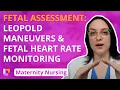 Fetal Assessment Leopold Maneuvers Fetal Heart Rate Monitoring - Maternity Nursing LevelUpRN