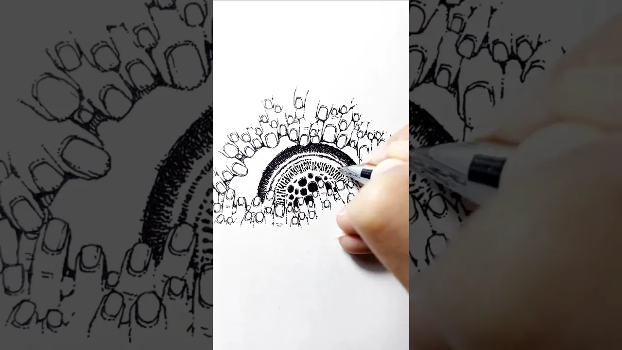 Finger Eye