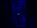 Download Lagu Habibi - Ricky Rich \u0026 AramMafia |Lyrics |Aesthetic | |Slowed |Edit | #shorts #shortvideo #music