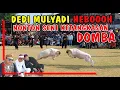 Download Lagu DEDI MULYADI HEBOH NONTON SENI KETANGKASAN DOMBA‼️HPDKI MAJALENGKA