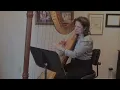 Largo - Winter by Antonio Vivaldi - Martha Painter