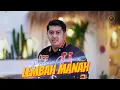 Lagu DELVA IRAWAN - LEMBAH MANAH ( Official Music Video )