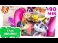 Download Lagu 44 Cats | 90 MINUT odcinków! [CAŁE ODCINKI]