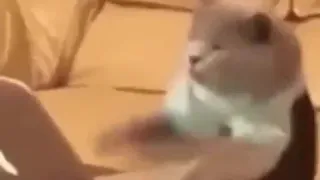 اركب يا عبدو نينينينينينيني دندنها