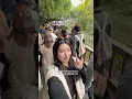 must-visit panda base in chengdu china