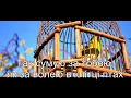 Океан Ельзи - Я так хочу