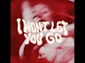 I WON'T LET YOU GO