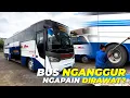 Download Lagu Ngapain Dirawat?! Bus Nganggur Di Garasi Ternyata Masih Diperhatikan!