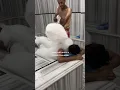 Download Lagu What it’s like getting a Turkish Hammam!